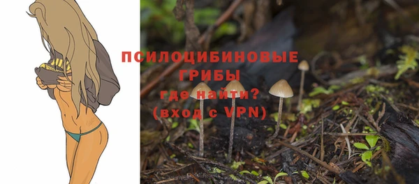 спайс Абинск