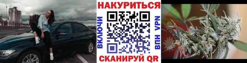 Шишки марихуана семена где купить наркоту Кириллов
